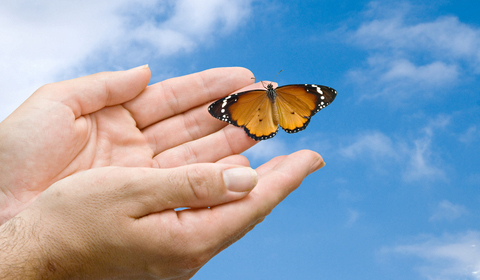 Teen Counseling San Diego